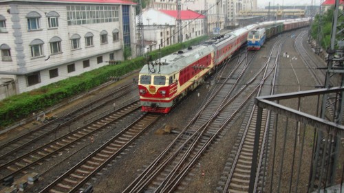 DSC04476_conew1.jpg
