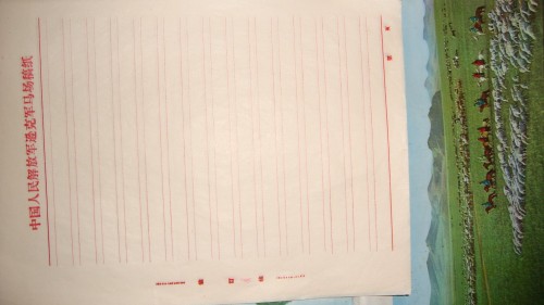 DSC06206_conew1.jpg