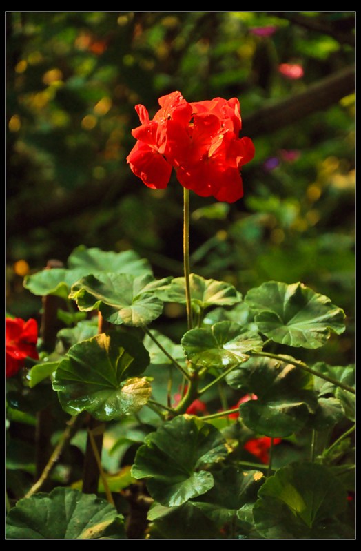 19LOU_DSC_4492.jpg
