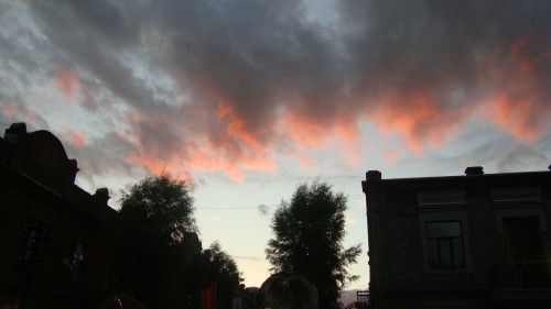 DSC06780_conew1.jpg