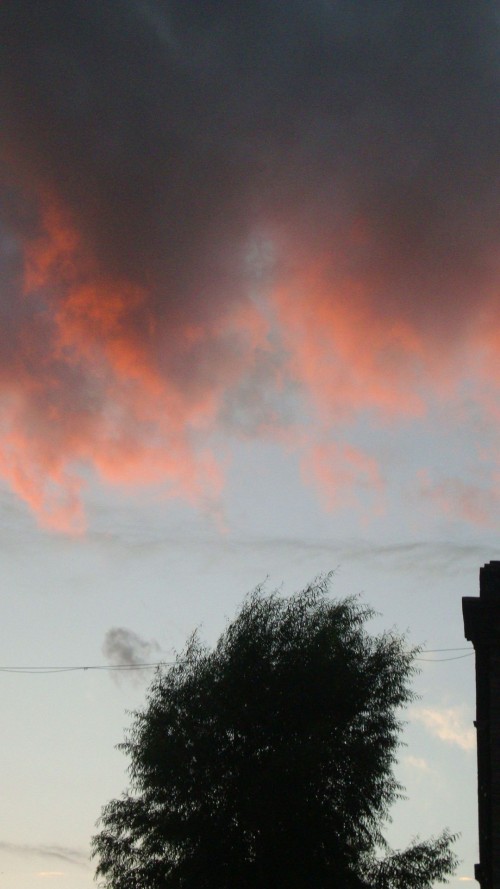 DSC06781_conew1.jpg