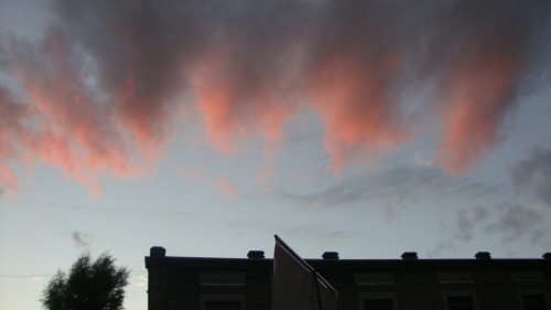 DSC06783_conew1.jpg