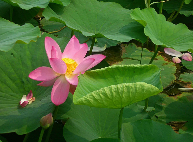 DSCN3918-3.jpg
