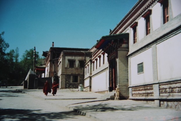 IMG_4428.JPG
