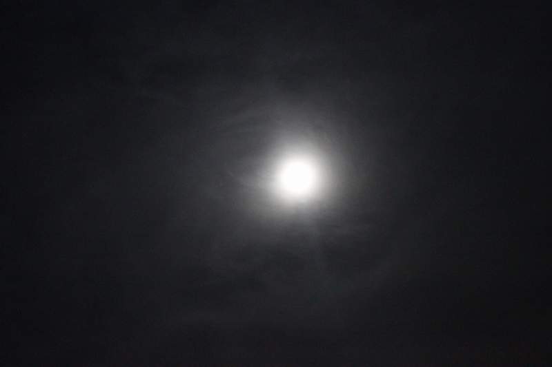 ҹ12룬ʵ
