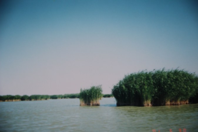 IMG_7860.JPG