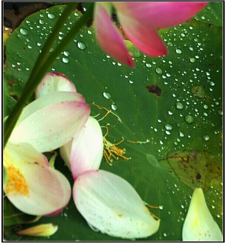 QQͼƬ201407192002143.jpg