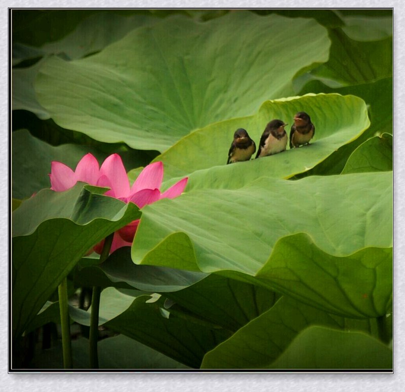 QQͼƬ201407192003451.jpg