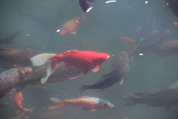 ڳ˳ͼݡСܱ˼ʾӡ 095.jpg