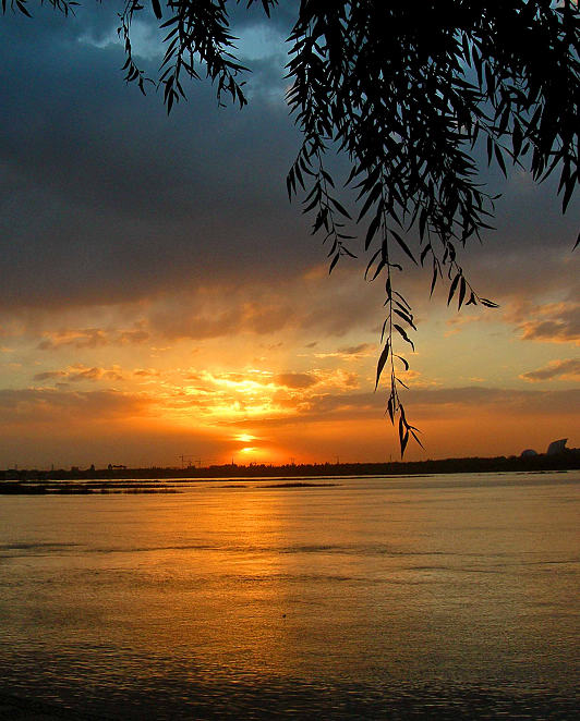 DSCN3854-3.jpg