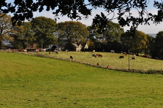 DSC_0125.jpg