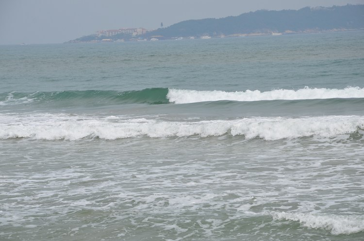 DSC_0523.JPG
