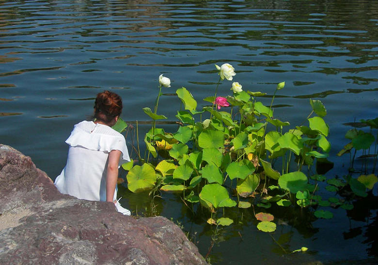DSCN6846-3.jpg