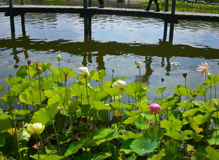 DSCN6871-3.jpg