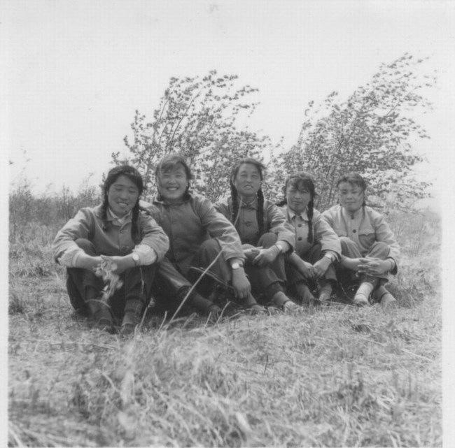 hw565.jpg