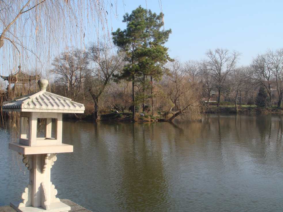 DSC02811.JPG