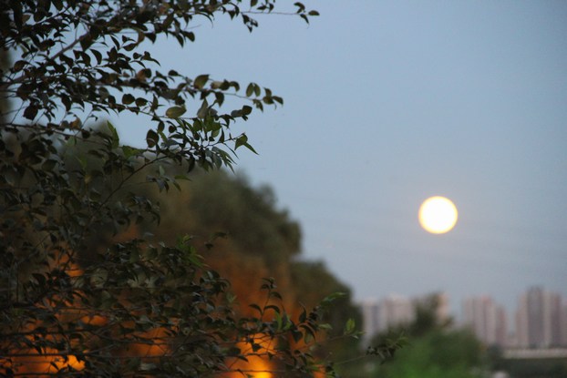 IMG_8252.JPG