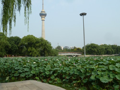 P1080716.JPG