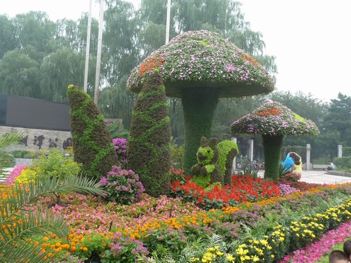 P1090008.JPG