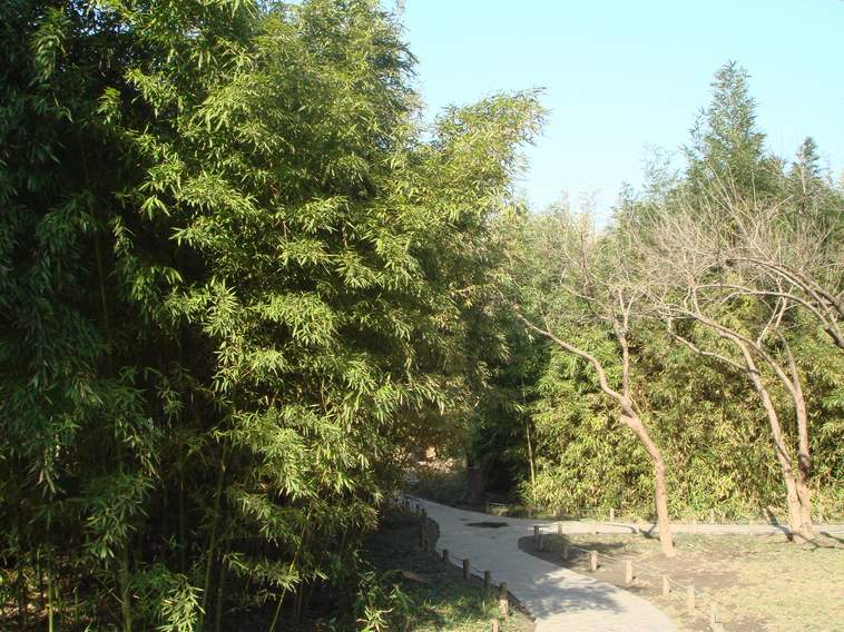 DSC02845.JPG
