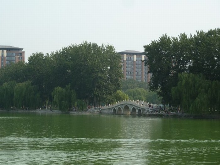 P1080730.JPG