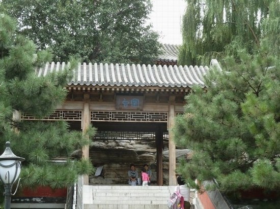 P1090137.JPG