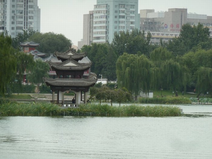 P1090142.JPG