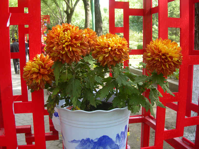 DSCN7380-3.jpg