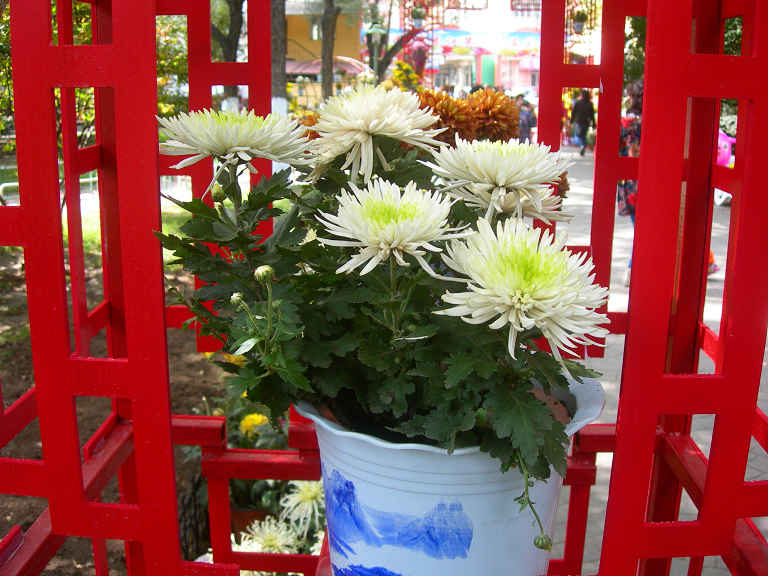 DSCN7381-3.jpg