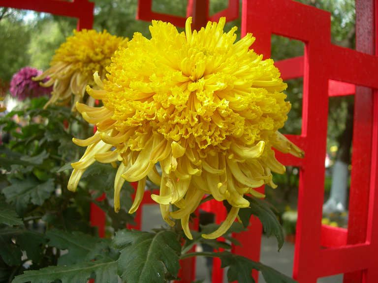 DSCN7387-3.jpg