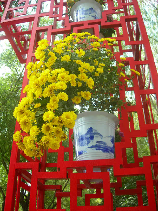 DSCN7389-3.jpg