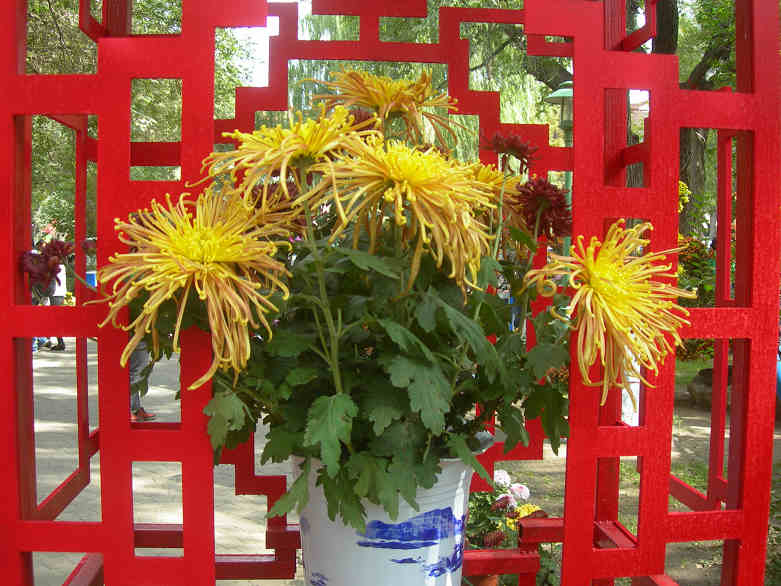 DSCN7400-3.jpg