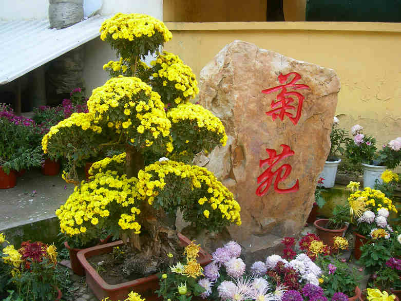 ջչDSCN7374-3.jpg