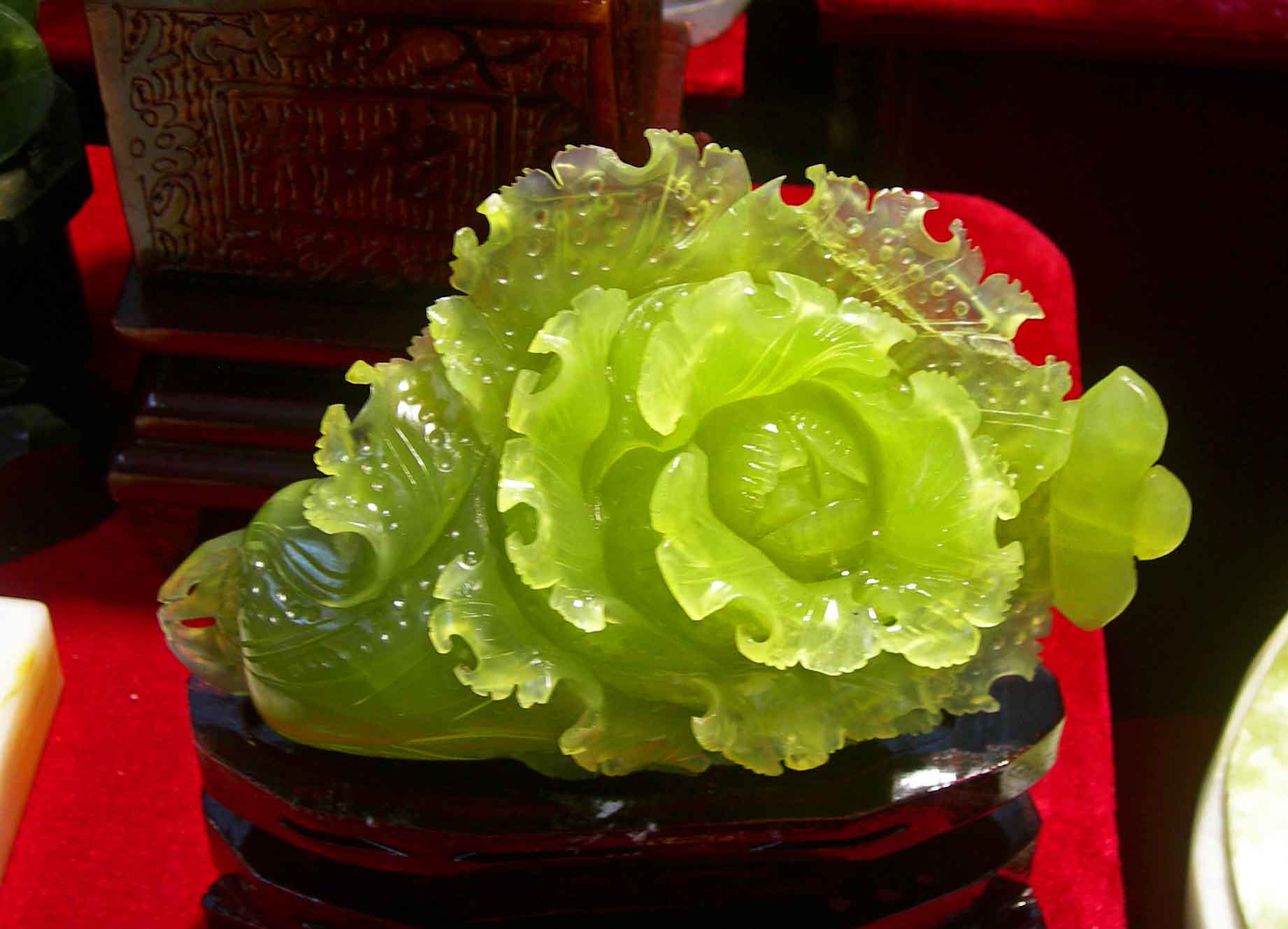 DSCN6259-3.jpg