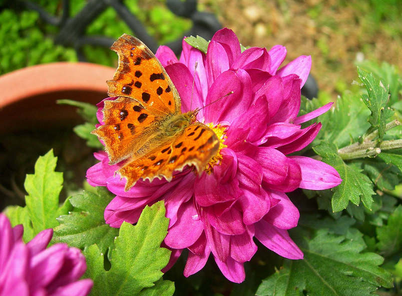 1-DSCN7492-3.jpg
