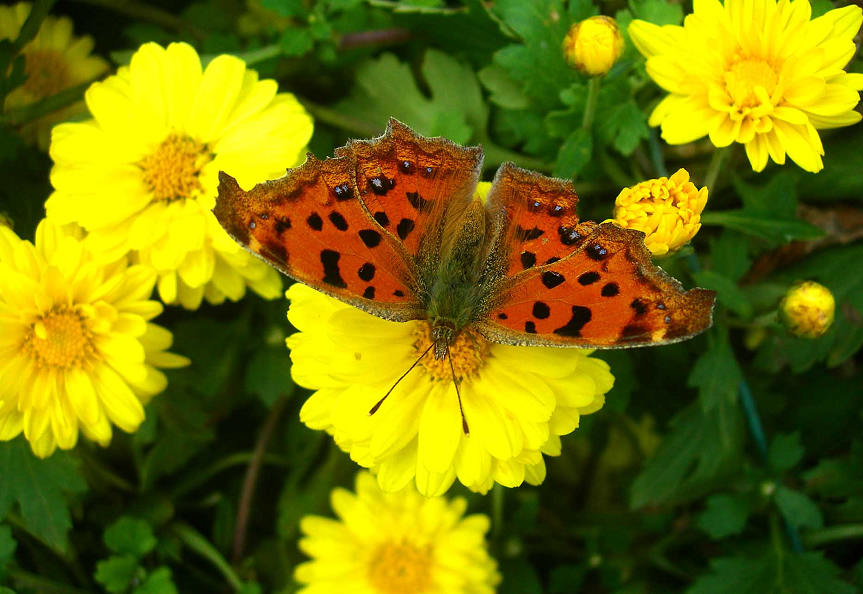 DSCN7190-3.jpg