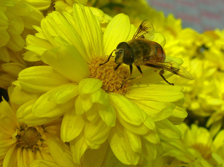 DSCN7318-3.jpg