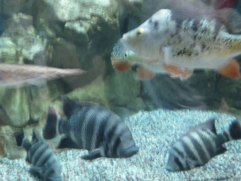 P1090209.JPG