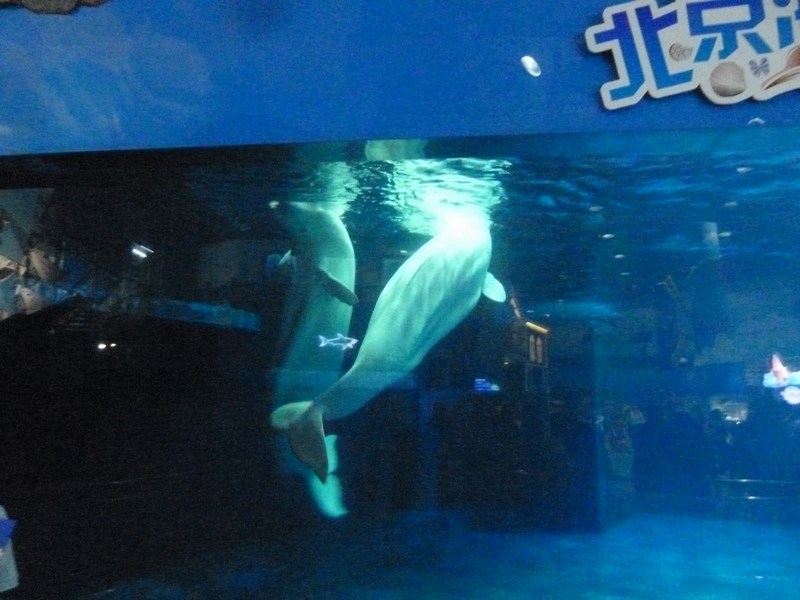 P1090219.JPG