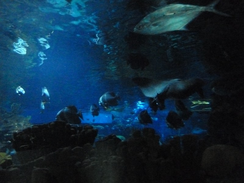 P1090246.JPG