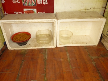 P1010515.JPG