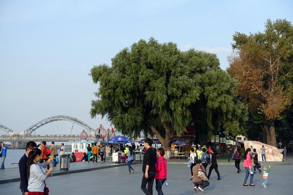 DSC007481.jpg