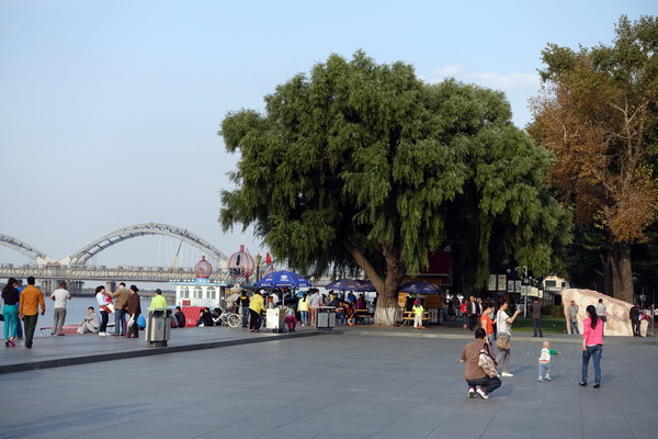 DSC007471.jpg