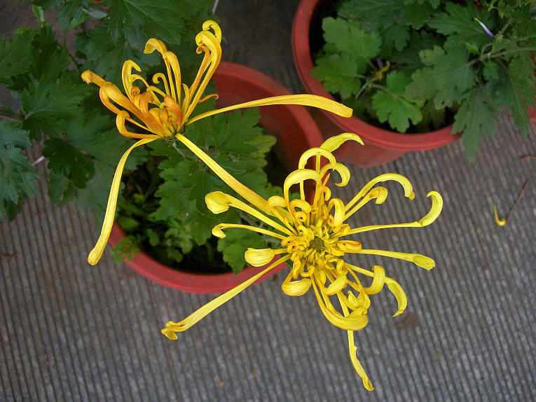 2-DSCN7558-3.jpg