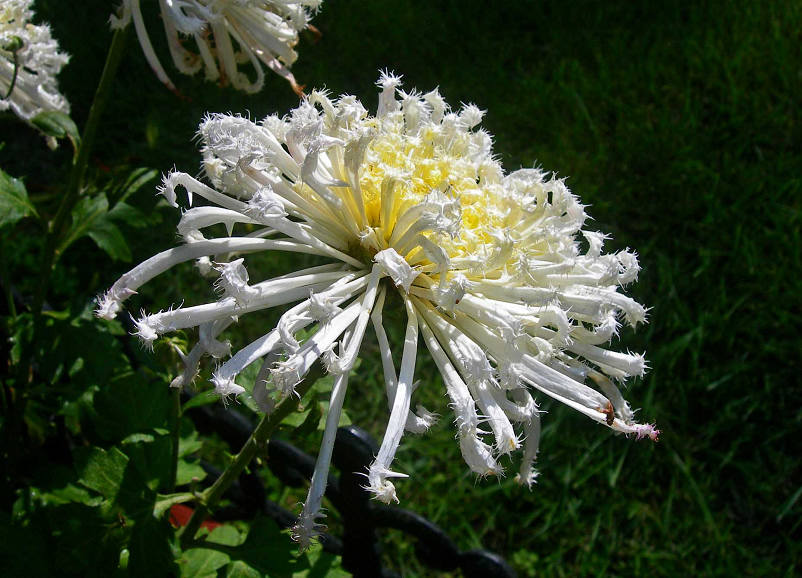 3-DSCN7530-3.jpg
