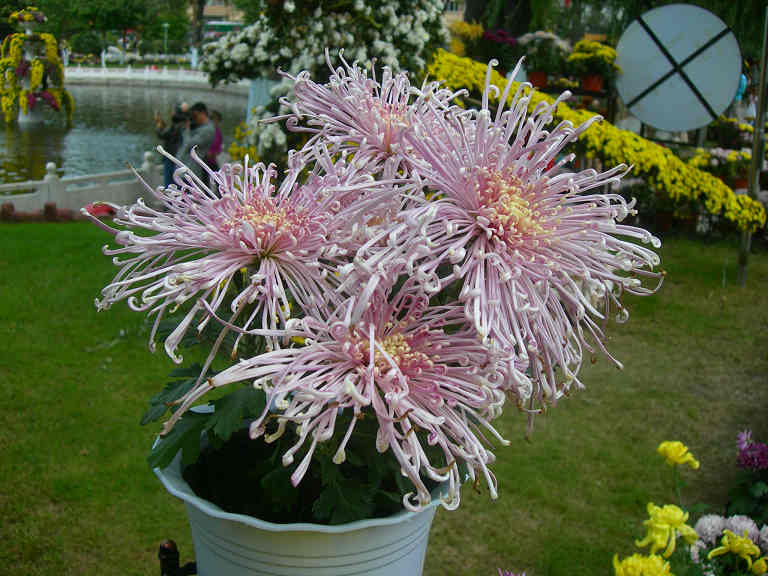 DSCN7442-3.jpg