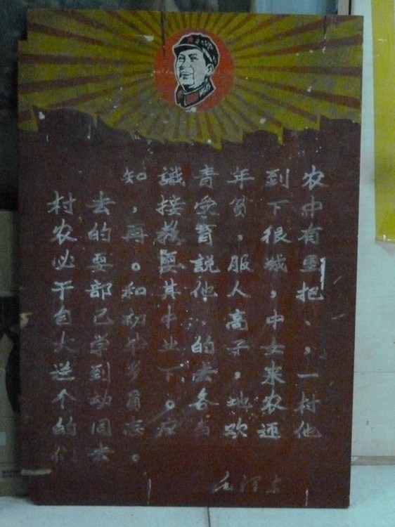 P1090423_ת.JPG