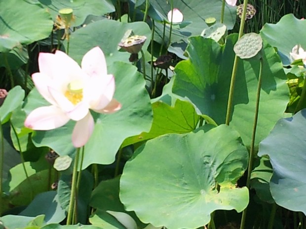 20140827_110018.jpg