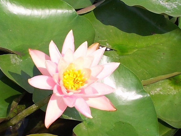 20140827_110029.jpg
