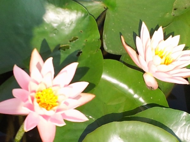 20140827_110049.jpg